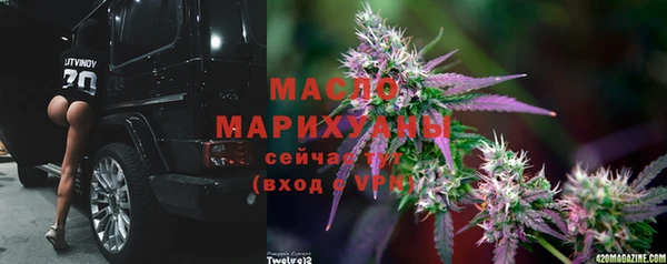 молекула духа Ладушкин
