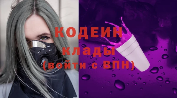 молекула духа Ладушкин