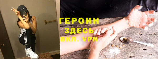 молекула духа Ладушкин