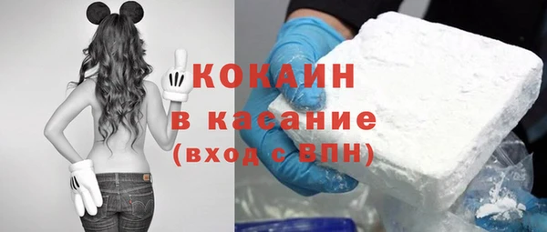 молекула духа Ладушкин