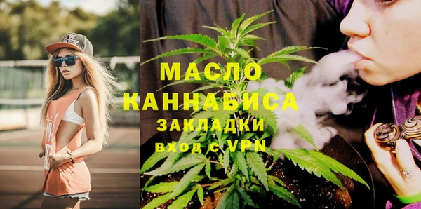 молекула духа Ладушкин