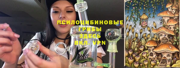 mdma Лагань