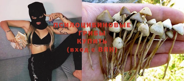 молекула духа Ладушкин