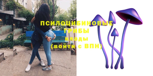 молекула духа Ладушкин