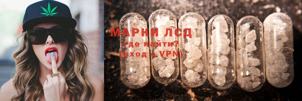 молекула духа Ладушкин