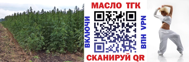Купить где  Зима  ТГК Wax 