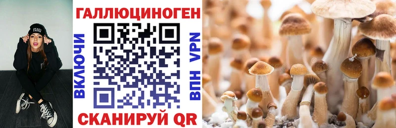 Купить закладки  Зима  Псилоцибиновые грибы прущие грибы 